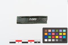 Foto von Bronzeraspel (NHMW-PRAE-024989)
